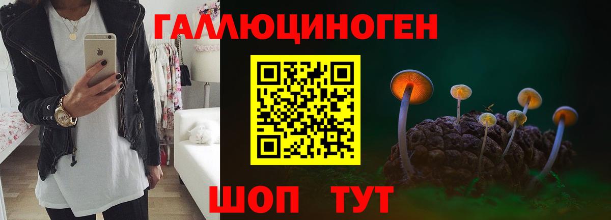 Галлюциногенные грибы GOLDEN TEACHER  Вход с VPN  Псилоцибиновые грибы Magic Shrooms  Пенза 