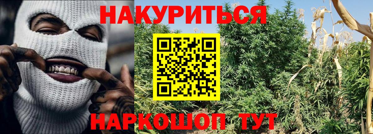 Конопля сатива  Бошки Шишки гибрид  Пенза  Канабис OG Kush  МАРИХУАНА Amnesia  Вход с VPN 
